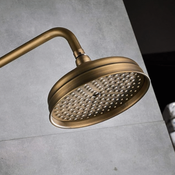 Pommeau de douche style vintage acier chromé